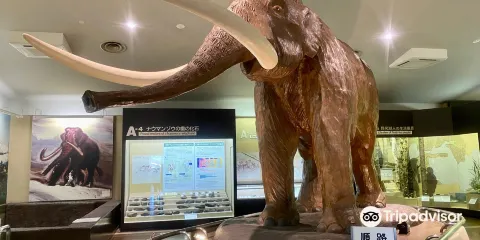 野尻湖ナウマンゾウ博物館