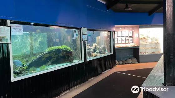 Reefworld Aquarium and Shark Swim