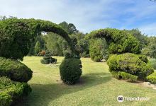The Pearl Fryar Topiary Garden景点图片