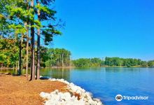Dreher Island State Park景点图片