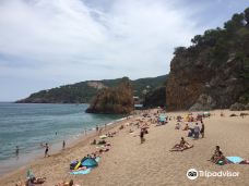 L'illa Roja-巴古尔