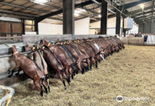 Ferme La Borie D'Imbert景点图片