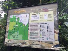 Angelito Trail-Mameyes I