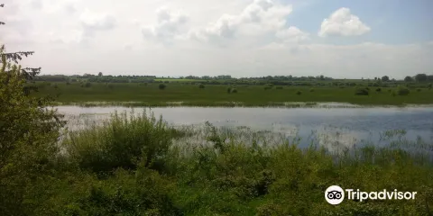 Kilcolman Wildfowl Refuge