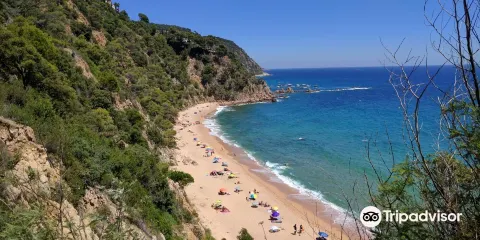 Cala del Senyor Ramon