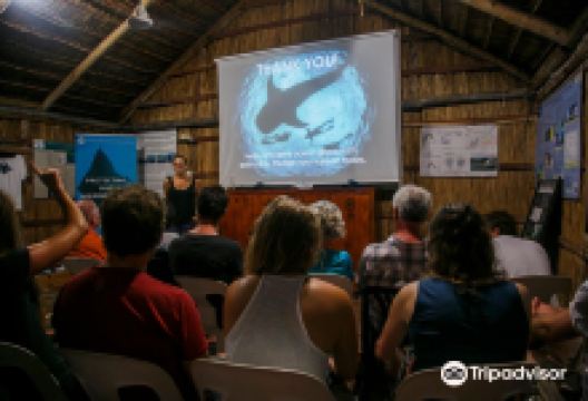 Marine Megafauna Foundation景点图片