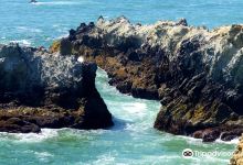 Sonoma Coast State Beach景点图片