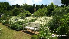 The Dreaming Place Rose Garden-君津市