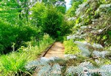 Tarbin Gardens景点图片