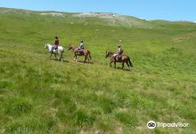 Ranch Du Grand Aigle景点图片