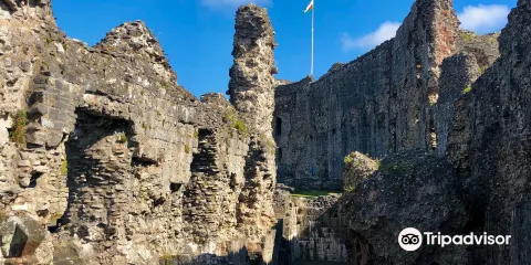 Denbigh Castle