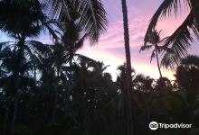 Thengapattanam beach景点图片
