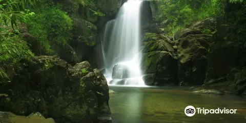 Meenmutty Falls