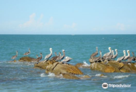 South Beach景点图片