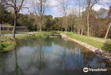 Limestone Springs Fishing Preserve景点图片