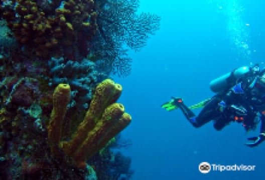 Barbados Blue Water Sports购物图片