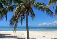 Cayo Iguana景点图片