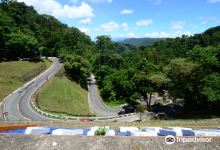 Quezon National Forest Park景点图片