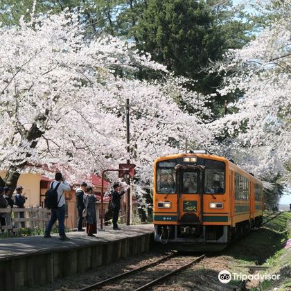 日本青森芦野公园+高山稻荷神社+立佞武多之馆一日游