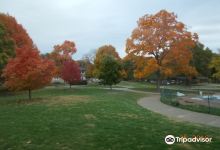 Antioch Park景点图片