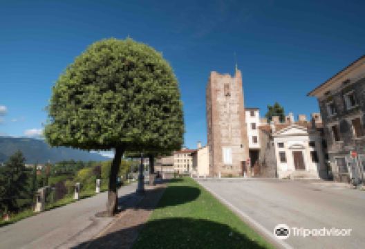 马尔廷里街景点图片