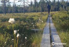 Nävernäsan景点图片