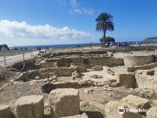 巴埃洛克劳狄亚-塔里法