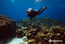 Anda Di Wata Dive School购物图片