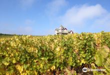 Trinity Vineyards景点图片