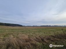 Rogalin Landscape Park-伯灵顿