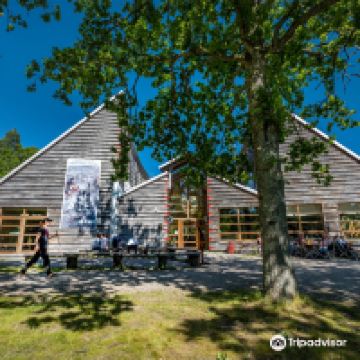 塔努姆斯海德图片