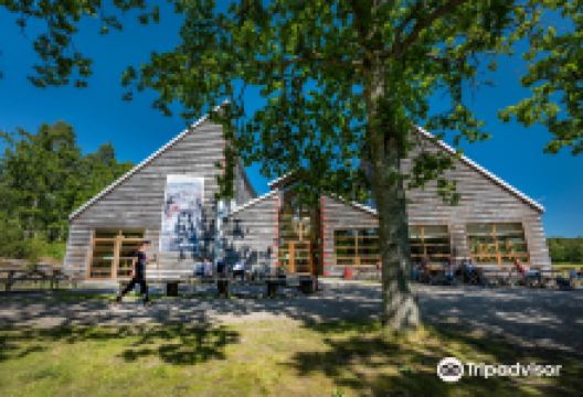 Vitlycke Museum景点图片