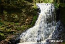 Hareshaw Linn Waterfall景点图片