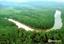 Akanda National Park景点图片