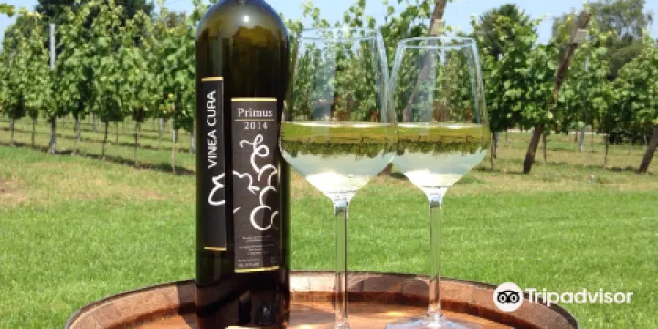 Zorgwijngaard Vinea Cura