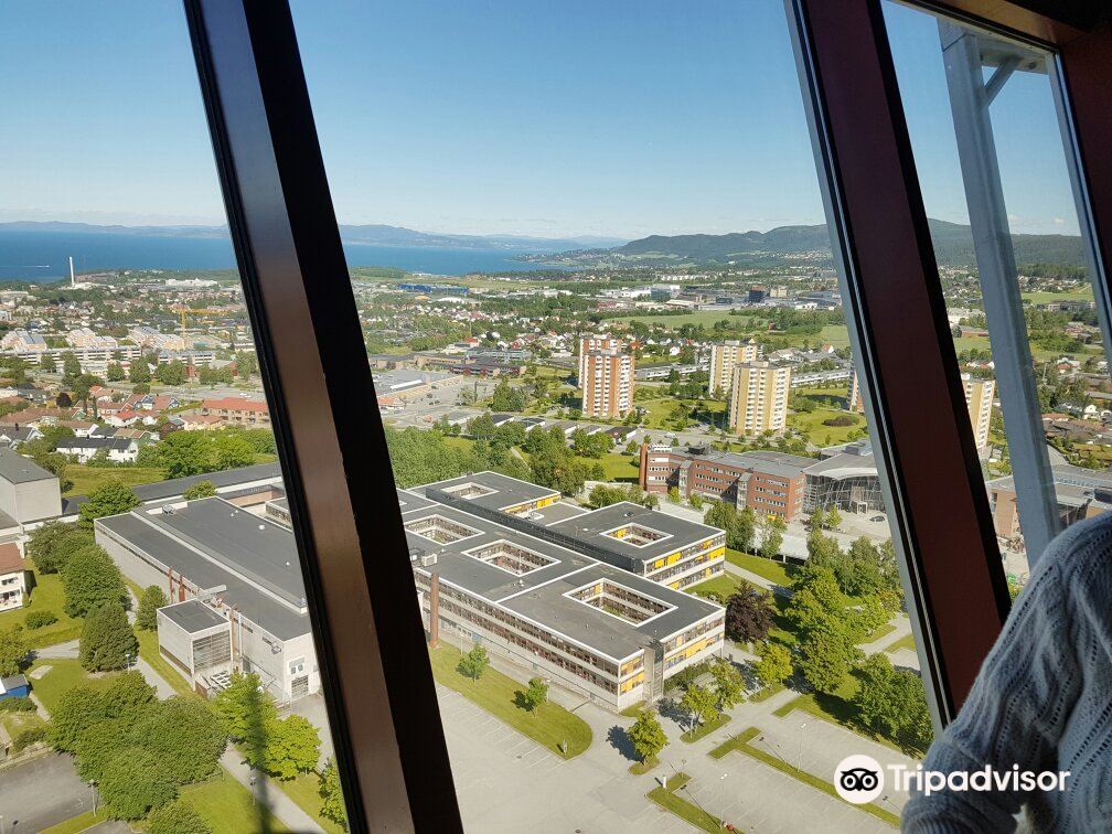 TyholttArnet餐厅图片