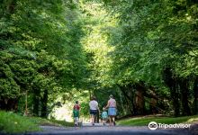 Castlecomer Discovery Park景点图片