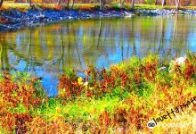 Lake Manawa Beach景点图片
