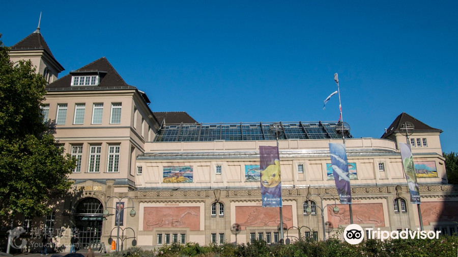 Illuseum Berlin