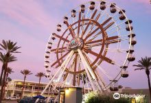 Wharf Ferris Wheel景点图片