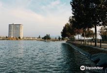 Parque Bicentenario de Cerrillos景点图片