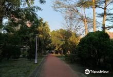 八德公园景点图片