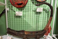 Museo degli strumenti musicali multietnici景点图片