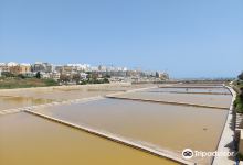Salina Nature Reserve景点图片