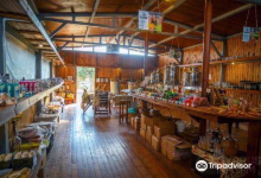 Organic Olive Farm - Terra Oliva景点图片