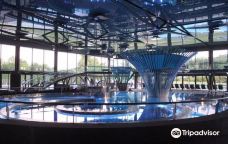 Magma - Centro Termal-圣科洛马·德法尔