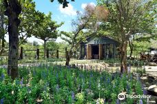 阿信巧克力农场-屏东