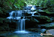 Leura Cascades-卡通巴