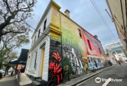 菲茨罗伊景点图片