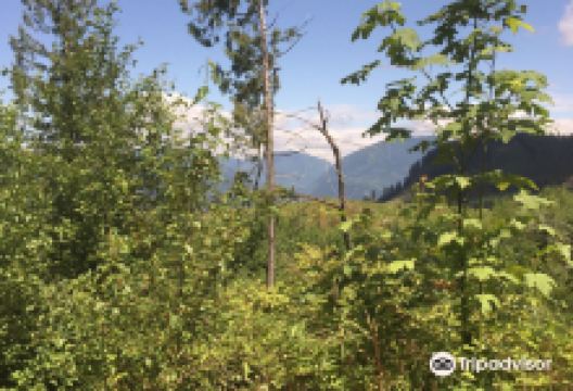 Sumas Mountain Inter-Regional Park景点图片